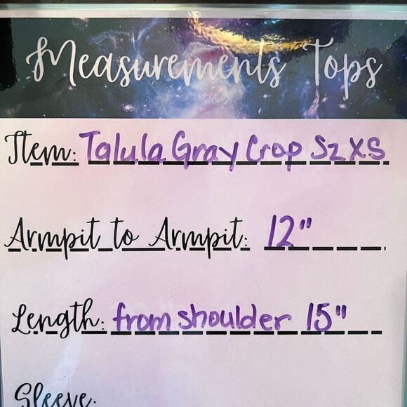 Aritzia Talula XS Gray Viscose Blend Camisole Strap V-Neck Tank - Like New - Picture 4 of 6